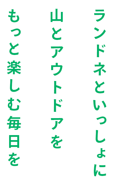 キャッチ