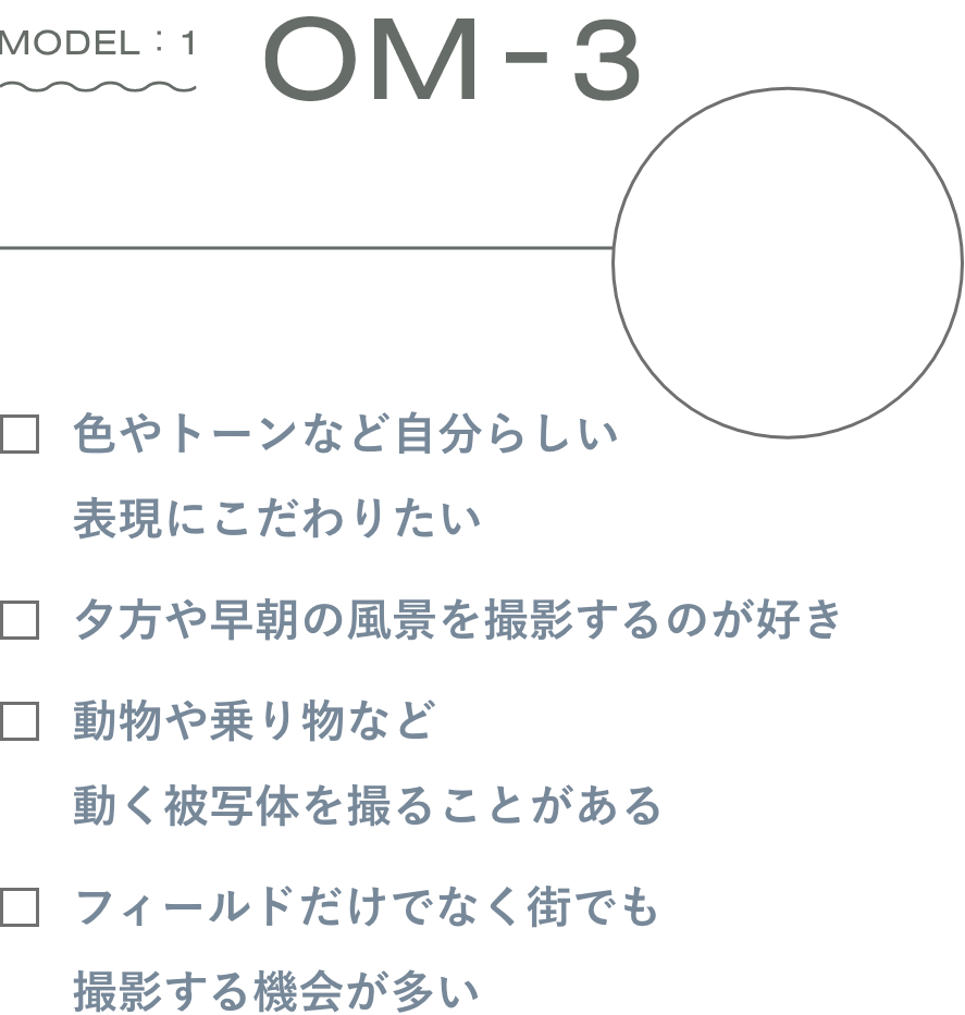OM-3チェックリスト