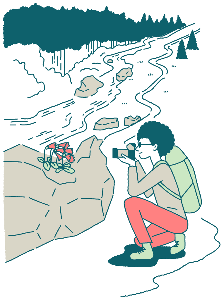 OM-3イラスト