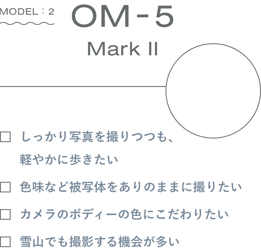 OM-5 Mark IIチェックリスト