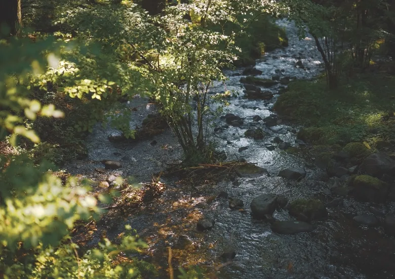 KAZUNOBU YANAGIHARA Hiker`s Story 写真
