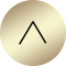 pagetop icon
